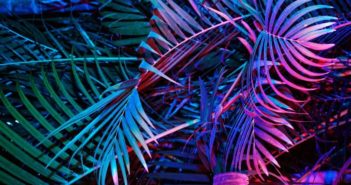 festivali u kolovozu