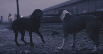 Neispavani i Lutalice